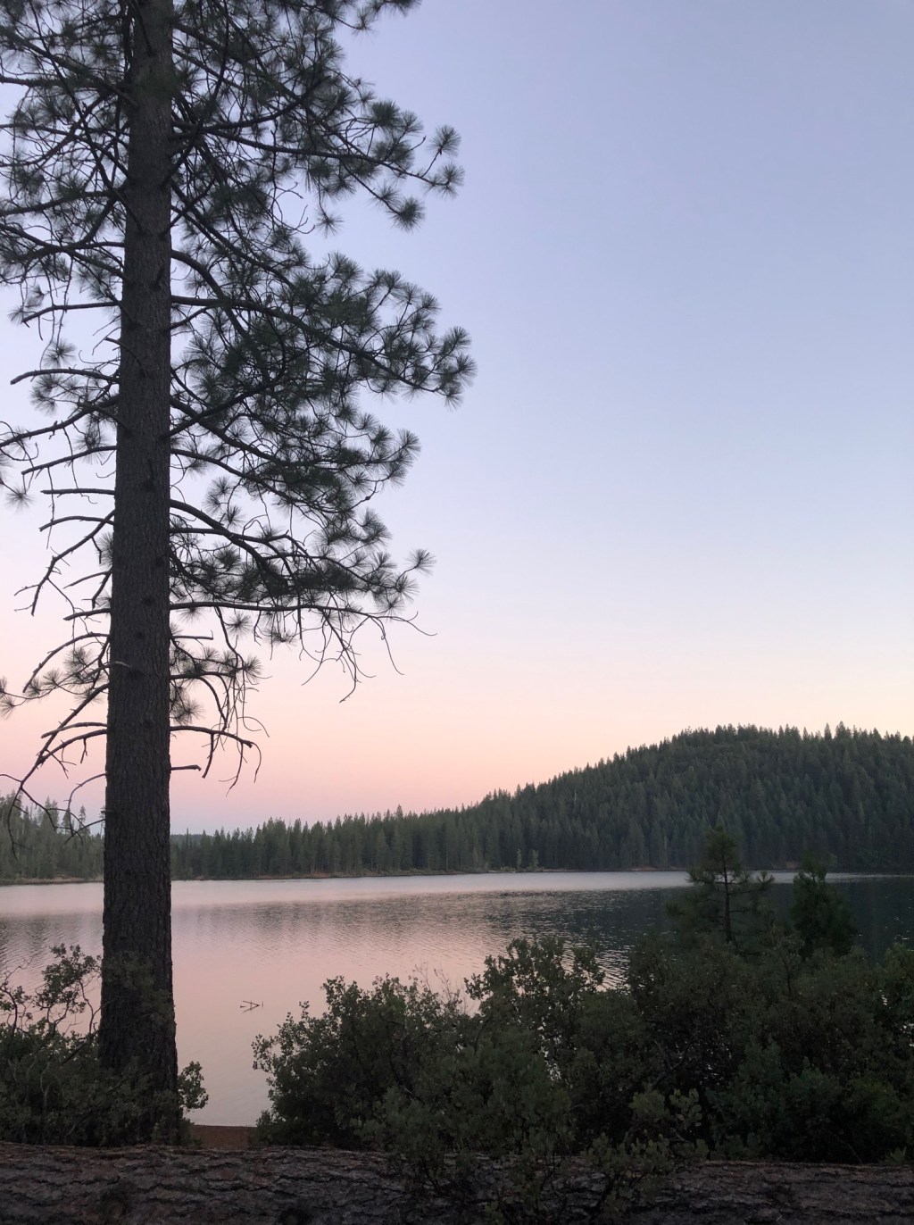 Refreshing Iced Coffee Recipe for Camping&nbsp;Adventures